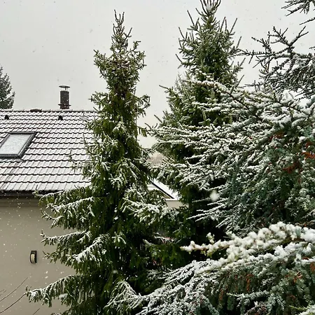 Szálloda Grand Petit 3*